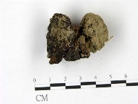 登錄號:F0022827藏品圖，第1張
