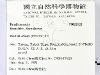 登錄號:F0022828藏品圖，第2張