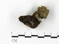 登錄號:F0022828藏品圖，第1張