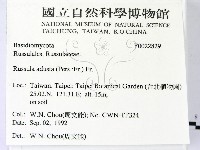 登錄號:F0022829藏品圖，第2張