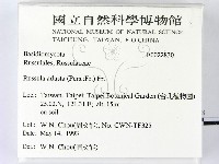 登錄號:F0022830藏品圖，第2張