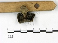 登錄號:F0022830藏品圖，第3張
