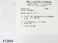 登錄號:F0022831藏品圖，第2張