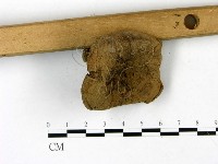 登錄號:F0022831藏品圖，第1張