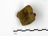 登錄號:F0022831藏品圖，第4張