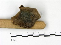 登錄號:F0022832藏品圖，第1張