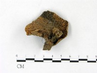 登錄號:F0022832藏品圖，第3張