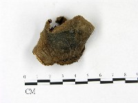 登錄號:F0022832藏品圖，第4張