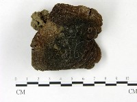 登錄號:F0022833藏品圖，第1張