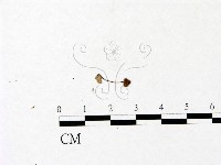 登錄號:F0022834藏品圖，第1張