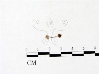 登錄號:F0022834藏品圖，第3張