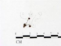 登錄號:F0022835藏品圖，第3張