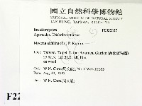 登錄號:F0022837藏品圖，第2張