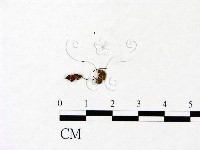 登錄號:F0022837藏品圖，第3張