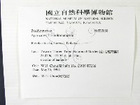 登錄號:F0022838藏品圖，第2張
