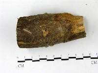 登錄號:F0022838藏品圖，第1張
