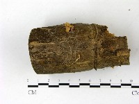 登錄號:F0022838藏品圖，第4張