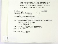 登錄號:F0022839藏品圖，第2張