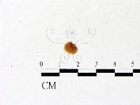 登錄號:F0022839藏品圖，第3張