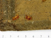 登錄號:F0022841藏品圖，第3張