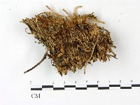 登錄號:F0022842藏品圖，第1張