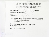 登錄號:F0022843藏品圖，第2張