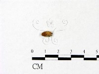 登錄號:F0022843藏品圖，第3張