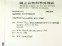 登錄號:F0022844藏品圖，第2張