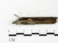 登錄號:F0022844藏品圖，第1張