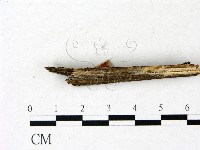 登錄號:F0022844藏品圖，第4張