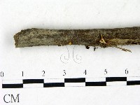 登錄號:F0022845藏品圖，第3張