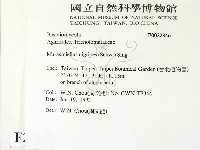 登錄號:F0022846藏品圖，第2張