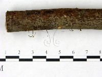 登錄號:F0022846藏品圖，第3張