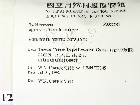 登錄號:F0022847藏品圖，第2張