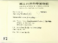 登錄號:F0022848藏品圖，第2張