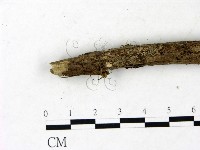 登錄號:F0022849藏品圖，第4張