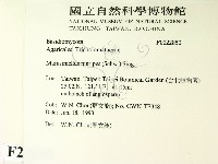 登錄號:F0022850藏品圖，第2張