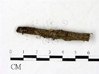 登錄號:F0022850藏品圖，第3張