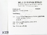 小皮傘屬藏品圖，第2張