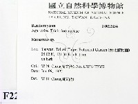 小皮傘屬藏品圖，第2張