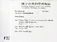 小皮傘屬藏品圖，第2張