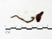 登錄號:F0022857藏品圖，第1張