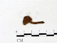 登錄號:F0022858藏品圖，第1張