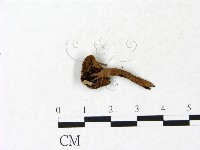 登錄號:F0022858藏品圖，第3張