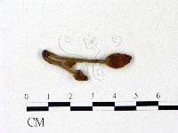 登錄號:F0022859藏品圖，第3張