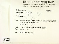 登錄號:F0022860藏品圖，第2張