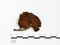 登錄號:F0022860藏品圖，第3張