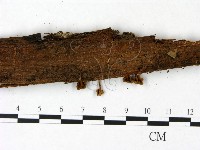登錄號:F0022861藏品圖，第4張