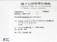 登錄號:F0022863藏品圖，第2張