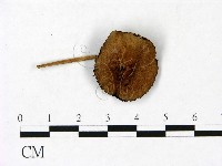 登錄號:F0022863藏品圖，第1張